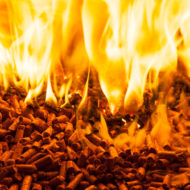 pellet